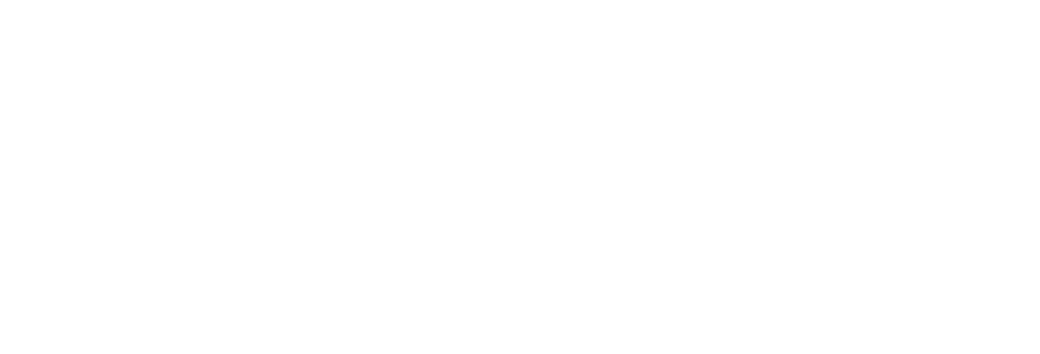 Plivo logo
